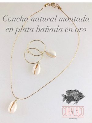 Gargantilla concha